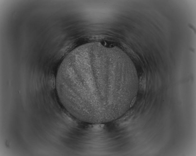 X0000091550474200709071221
