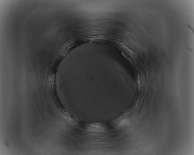 X0000091550475200709071221