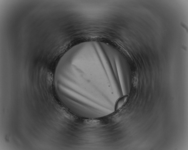 X0000091550476200709071221