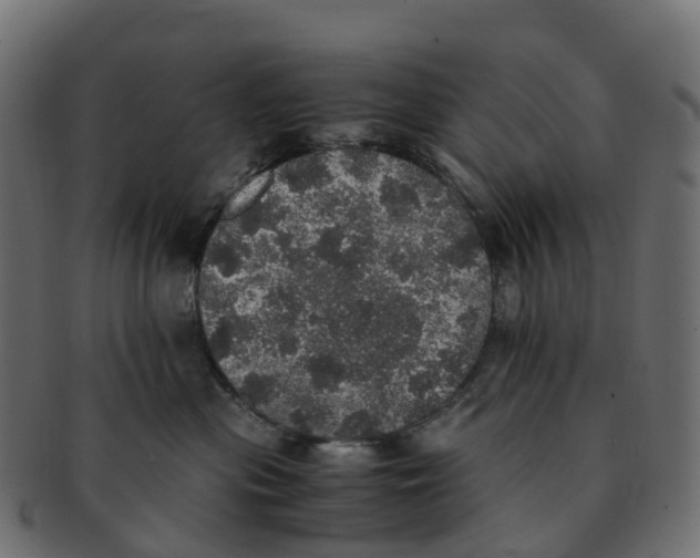 X0000091550477200709071221