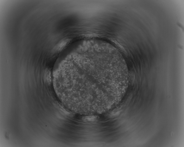 X0000091550479200709071221