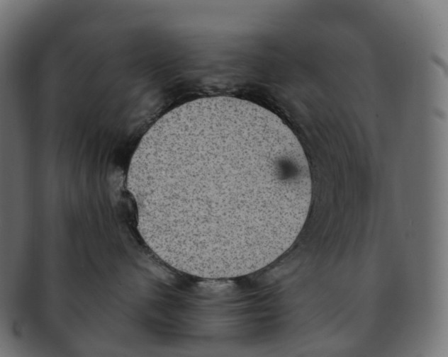 X0000091550480200709071221