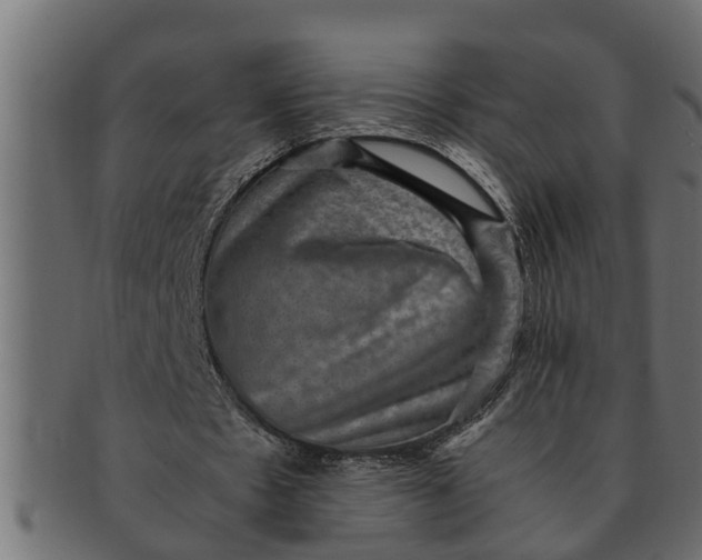 X0000091550481200709071220