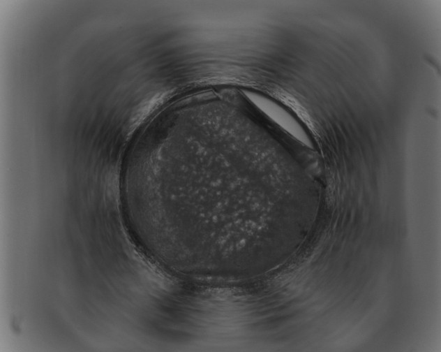 X0000091550482200709071220