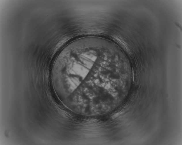 X0000091550483200709071220