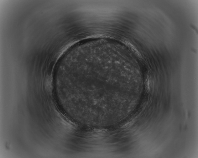 X0000091550484200709071220