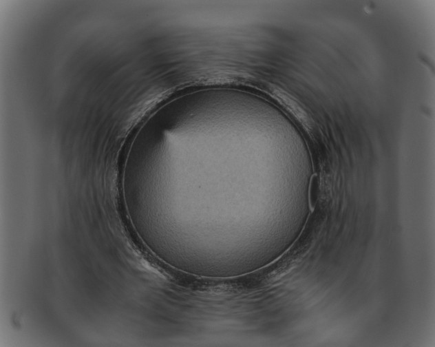 X0000091550485200709071220