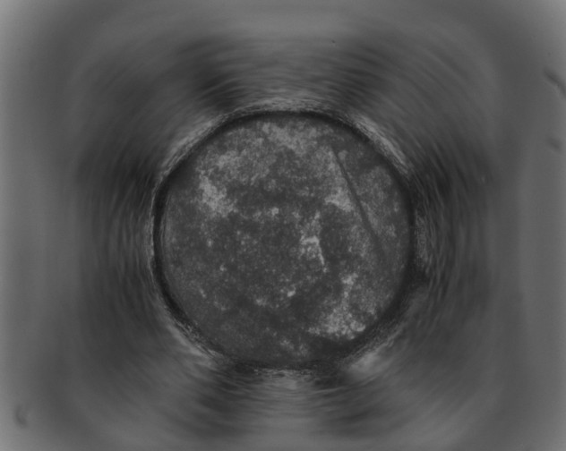 X0000091550486200709071220