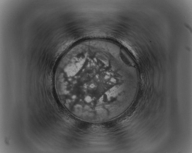 X0000091550487200709071220