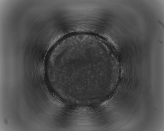 X0000091550488200709071220