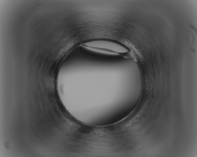 X0000091550489200709071220