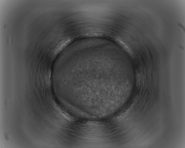 X0000091550490200709071220