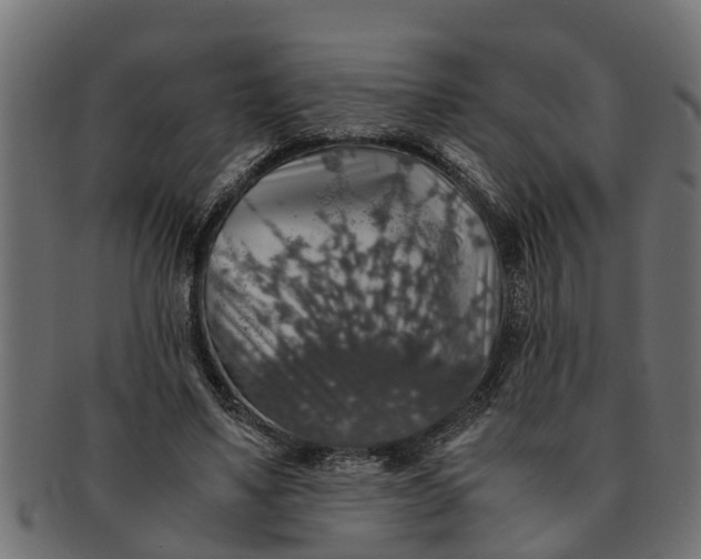 X0000091550491200709071220
