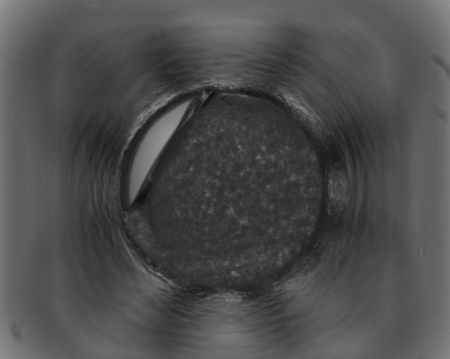 X0000091550492200709071220
