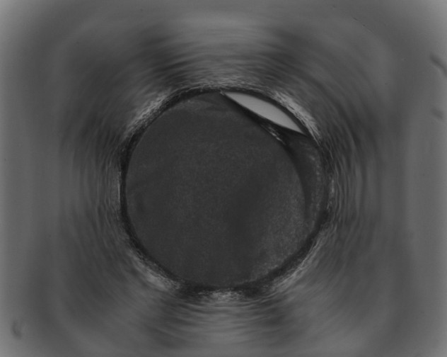 X0000091550493200709071220