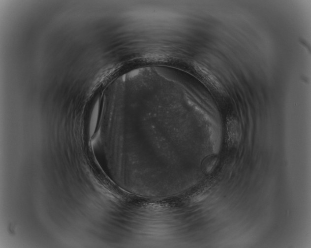 X0000091550494200709071220