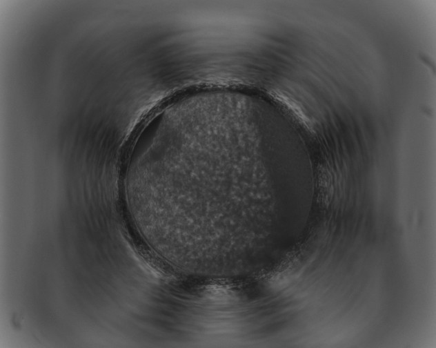 X0000091550496200709071220