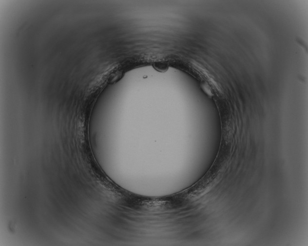 X0000091550497200709071220