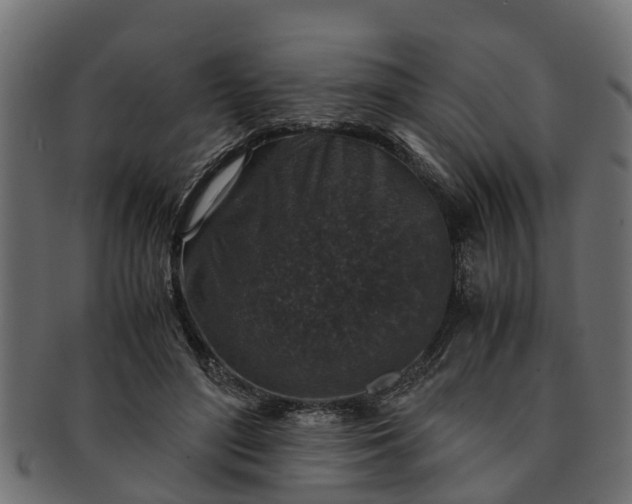 X0000091550500200709071220