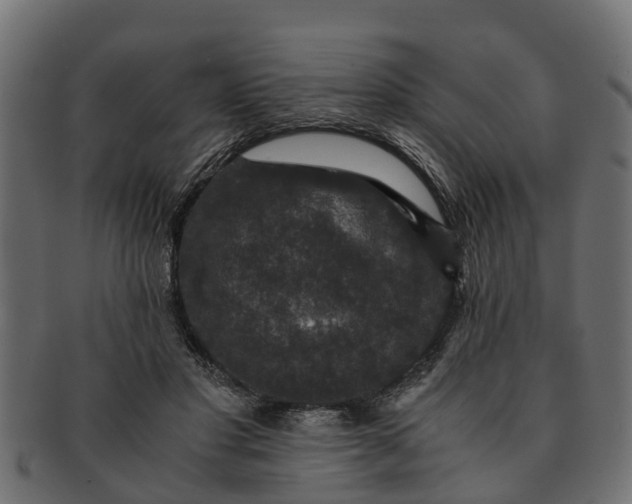 X0000091550501200709071220