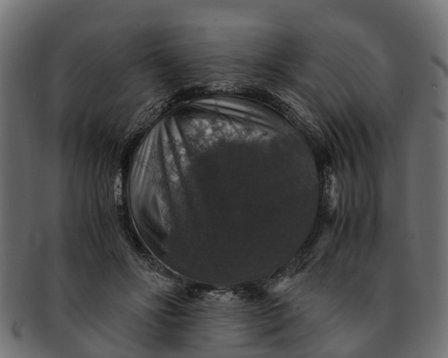 X0000091550502200709071220