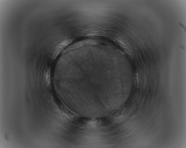 X0000091550504200709071220