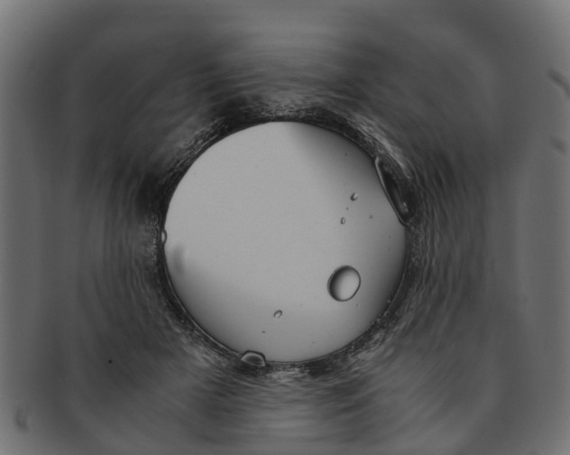 X0000091550505200709071220
