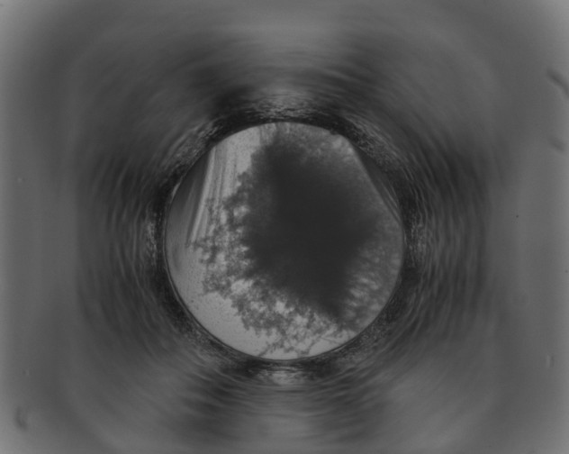 X0000091550506200709071220