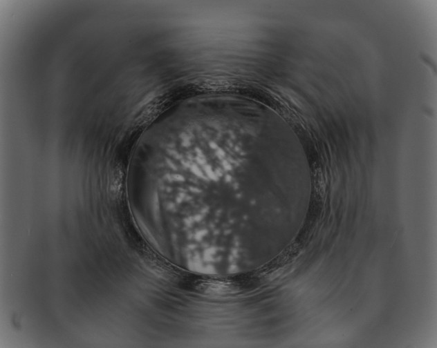 X0000091550507200709071220