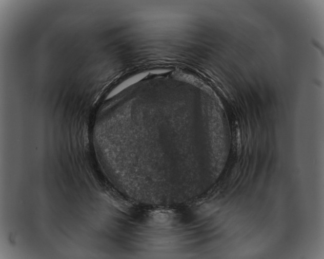X0000091550508200709071220