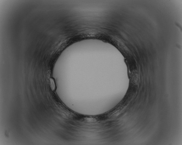 X0000091550509200709071220
