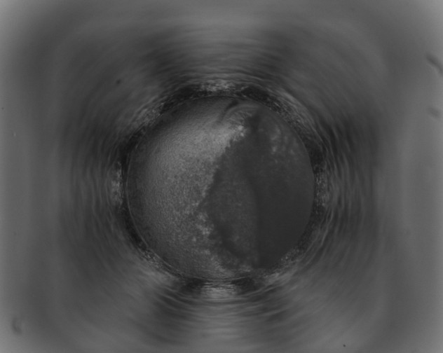 X0000091550510200709071220