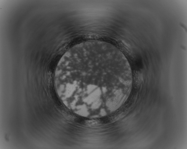X0000091550511200709071220
