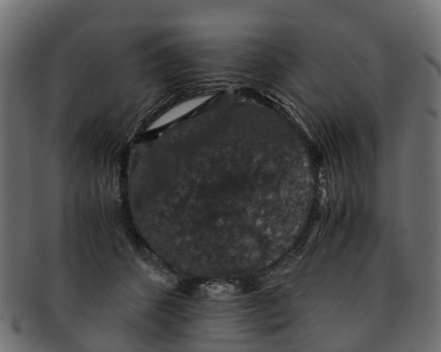 X0000091550512200709071220