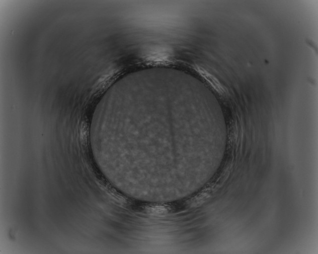X0000091550513200709071220