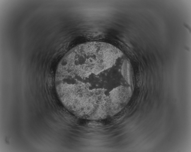 X0000091550515200709071220
