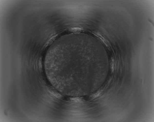 X0000091550516200709071220