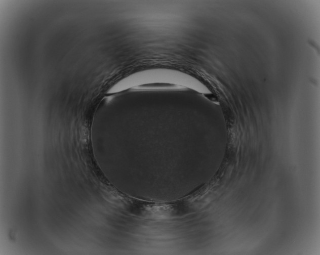 X0000091550517200709071220