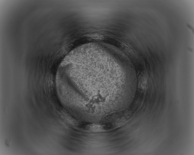 X0000091550518200709071220