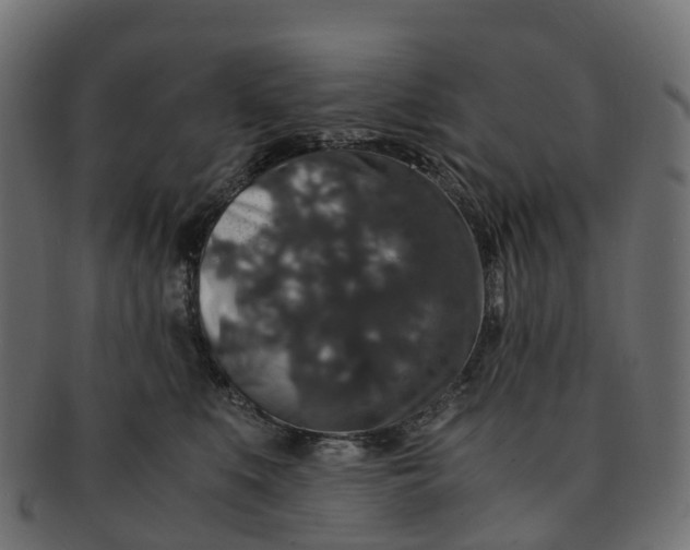 X0000091550519200709071220