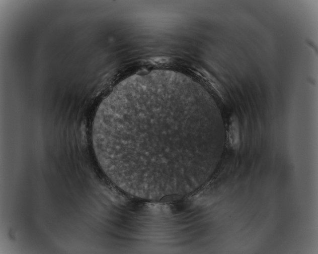 X0000091550520200709071220