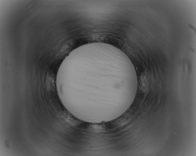 X0000091550522200709071220