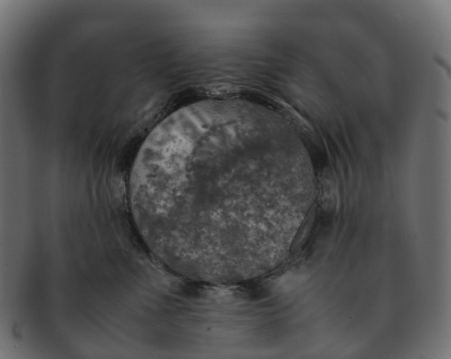 X0000091550523200709071220