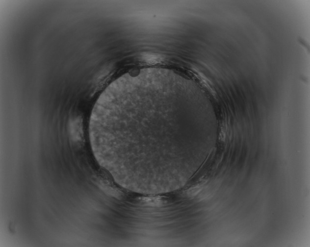 X0000091550524200709071220