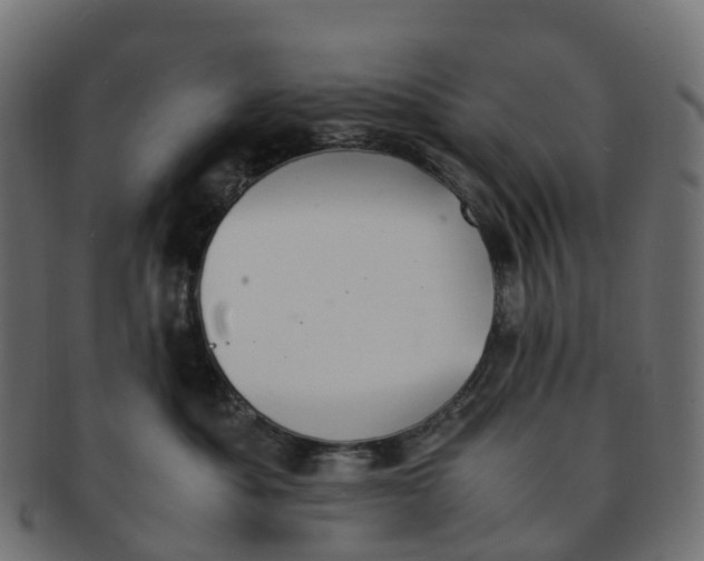 X0000091550525200709071220