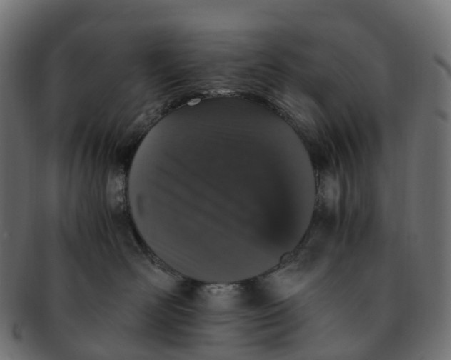 X0000091550526200709071219