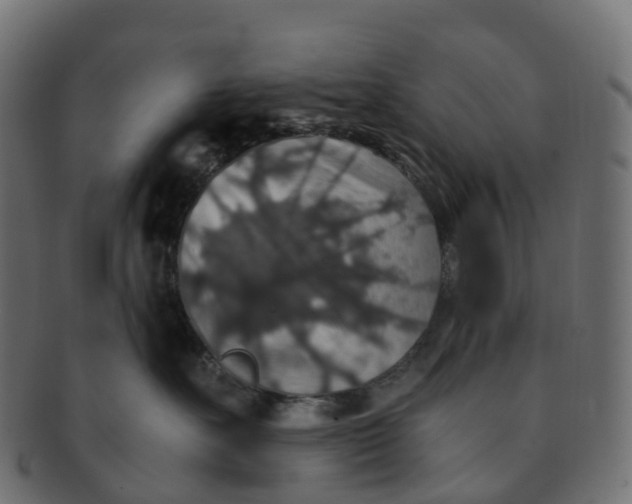 X0000091550527200709071219