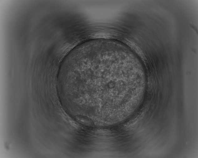 X0000091550529200709071219