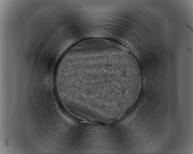 X0000091550530200709071219