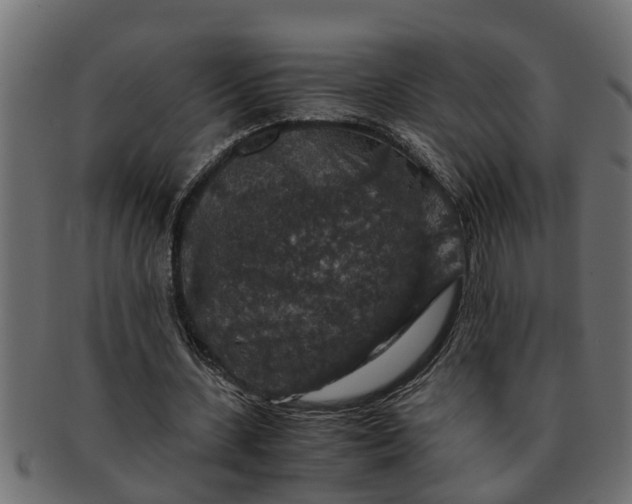 X0000091550531200709071219